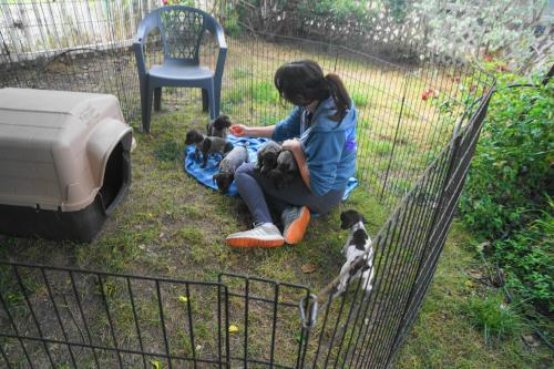 Puppu 14\5